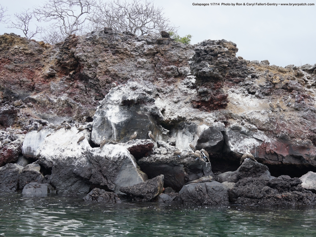 click for next image