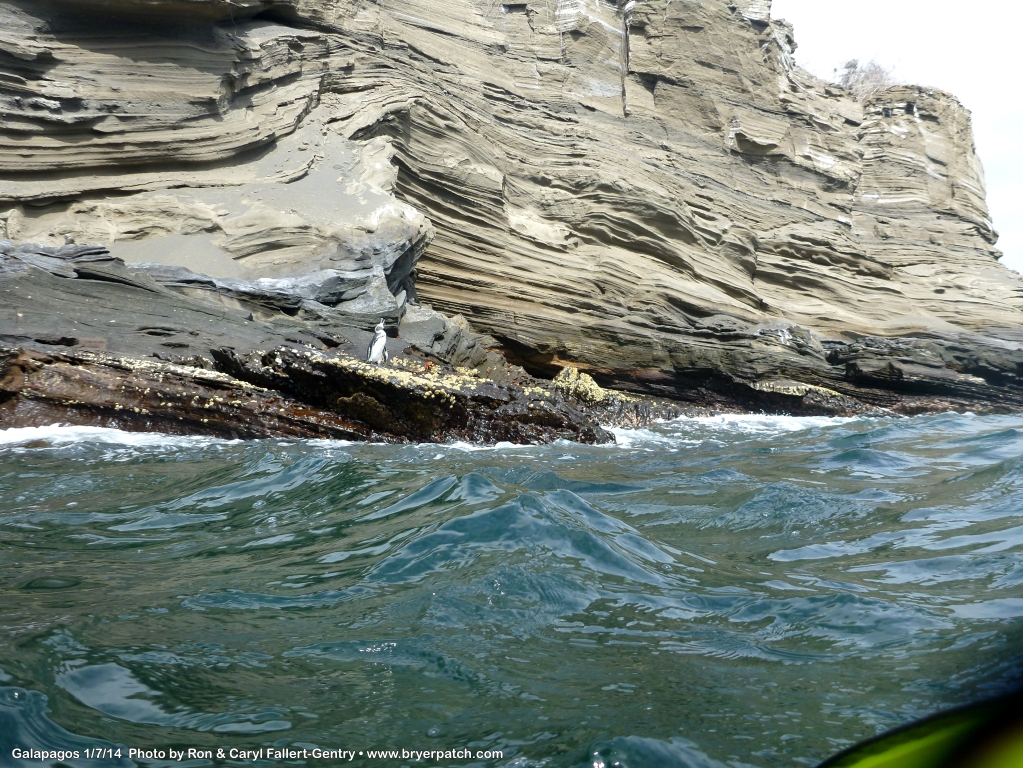 click for next image