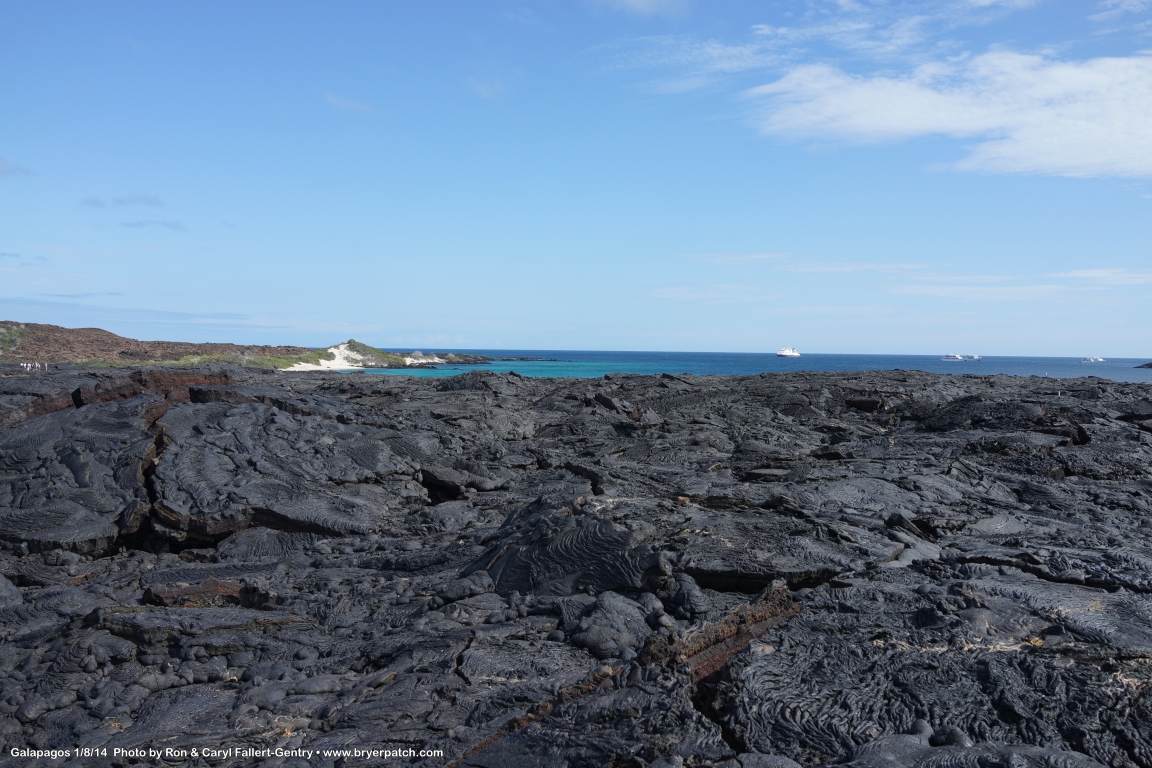 click for next image